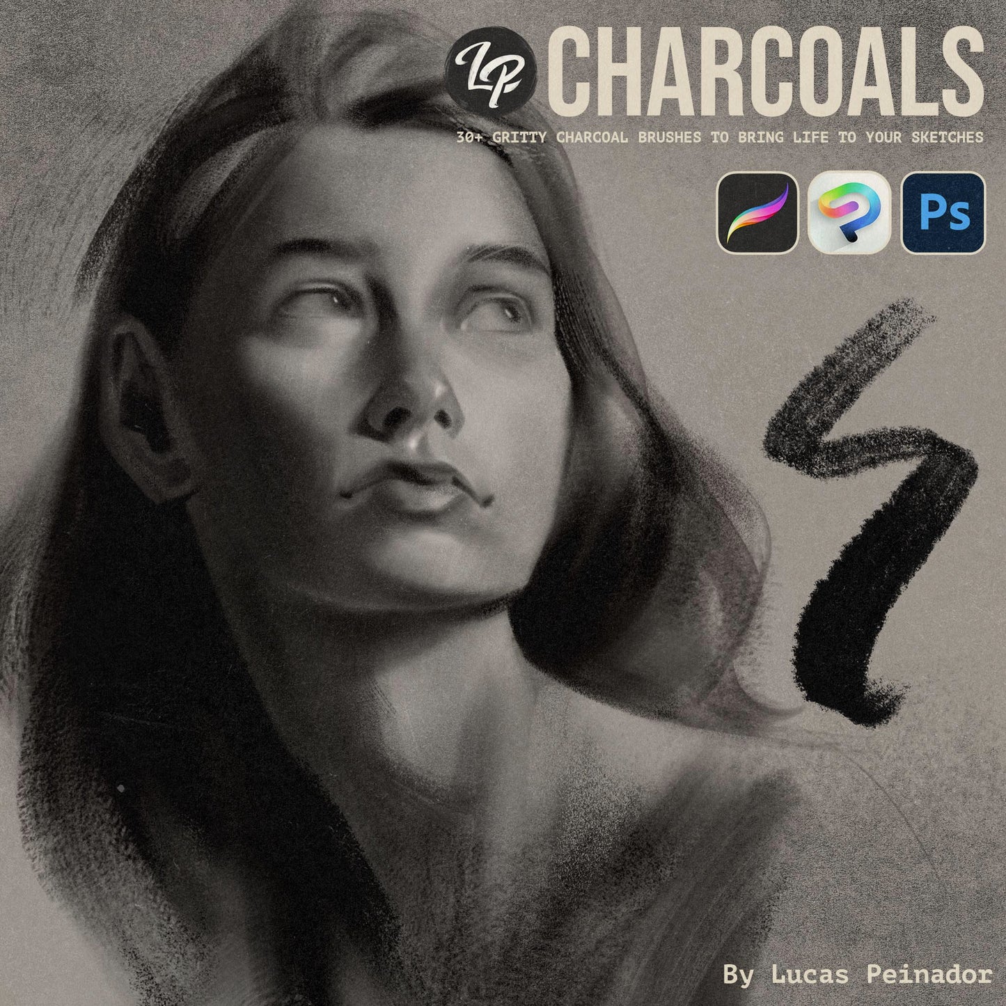 LP Charcoal Brushes