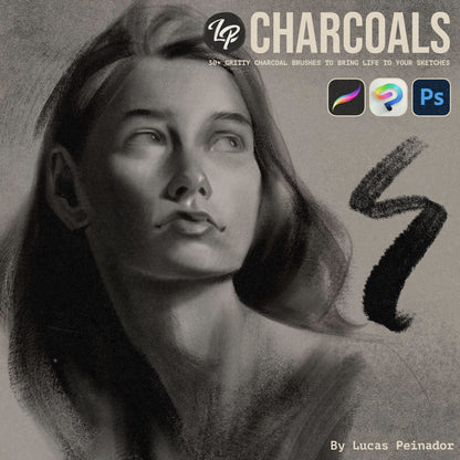 LP Charcoal Brushes